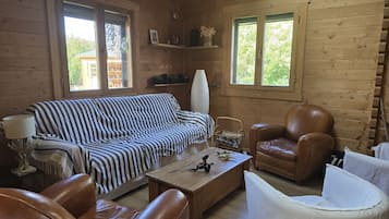 TV connectée, cheminée, livres