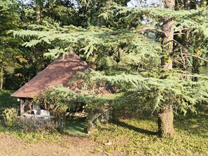 Eine rustikale Holzhütte mit geneigtem Dach, umgeben von dichtem Grün und Bäumen.