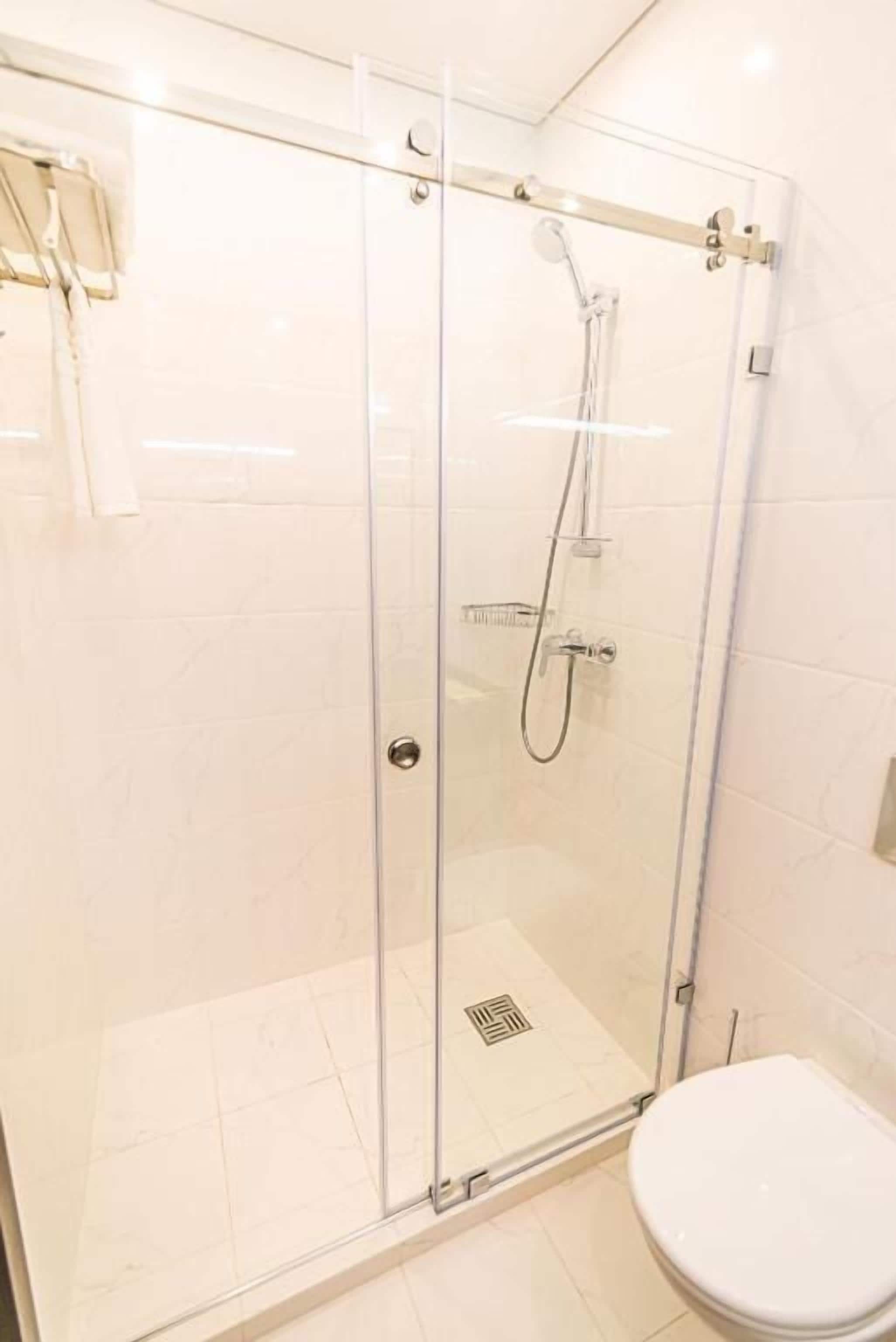 A glass-enclosed shower stall with a handheld showerhead and a toilet to the right.