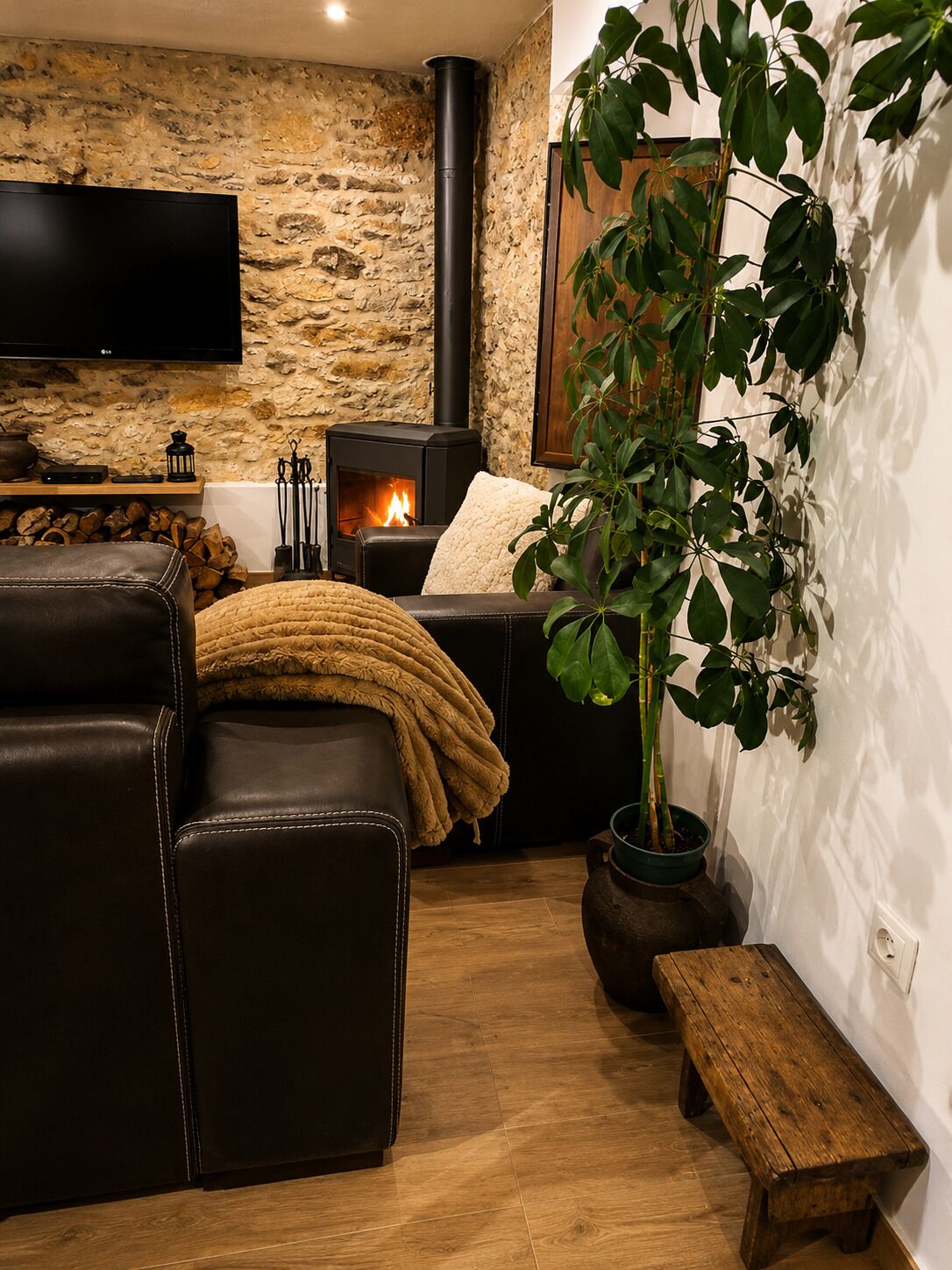 TV, fireplace