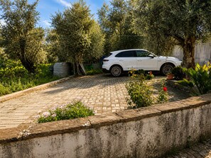 Property grounds - Casa dos Laia | Nature, Comfort, and Tranquility (Sobreira Formosa)
