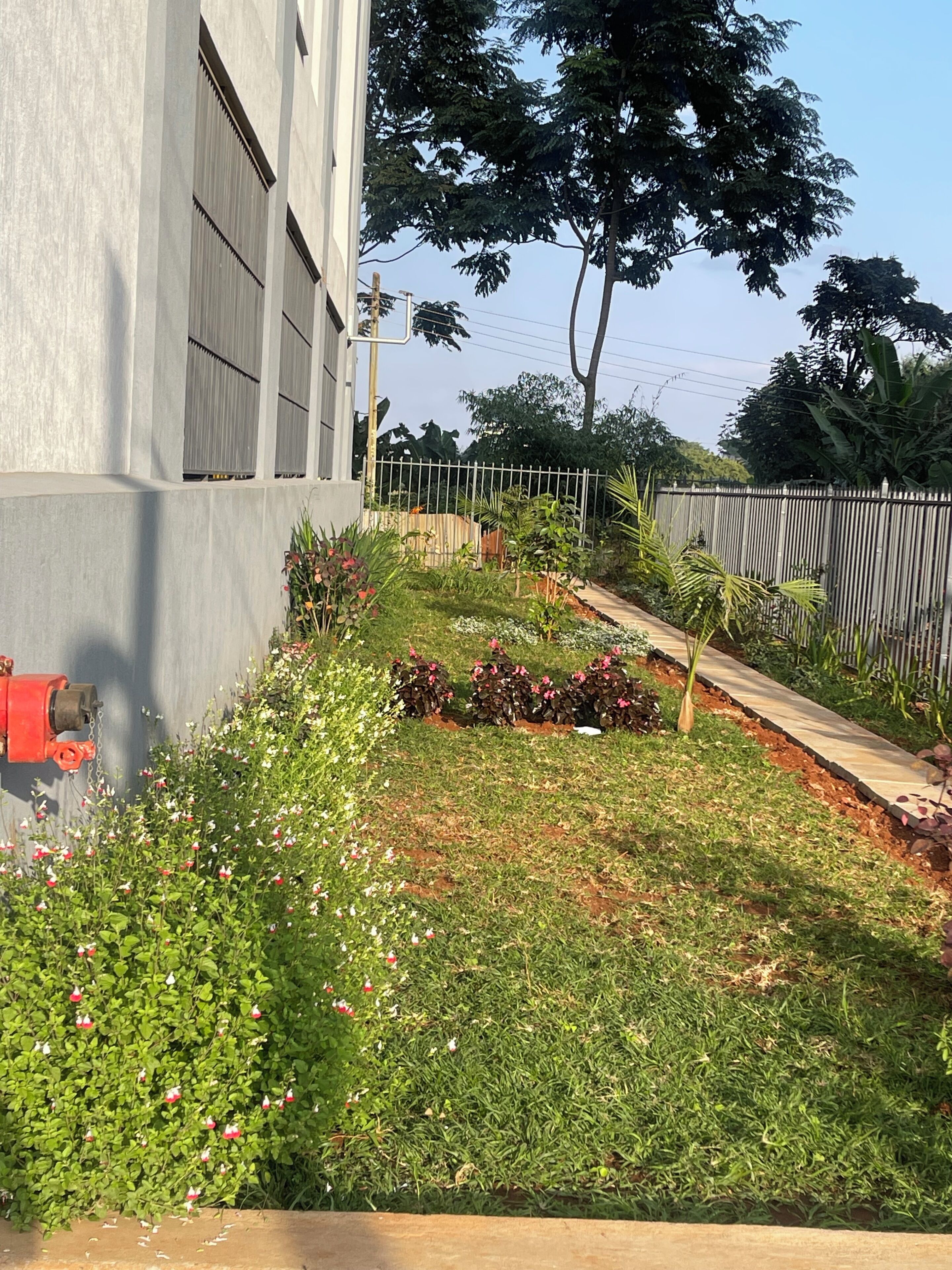 Un jardin aménagé avec une variété de plantes et de fleurs, un sentier et un bâtiment doté de grandes fenêtres.