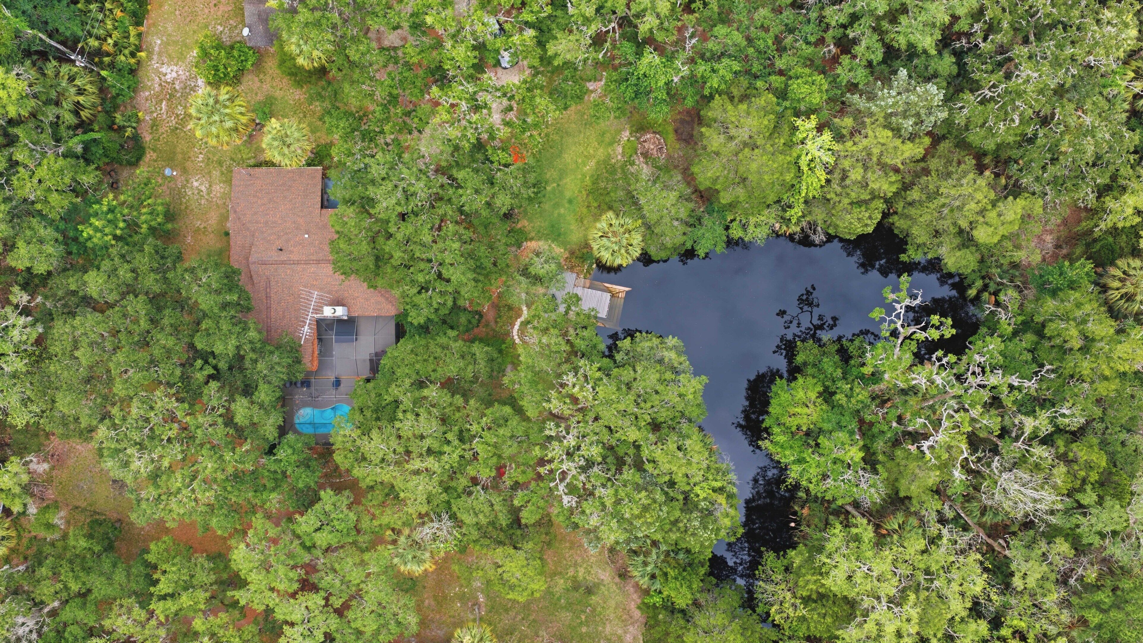 En vy från ovan av ett hus med en swimmingpool, omgivet av tät vegetation och en liten damm.