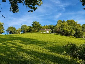 Une maison située sur une colline verdoyante, entourée d’arbres.