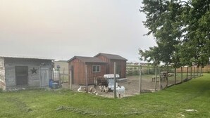 Ein eingezäunter Hof mit einem Holzhaus, einem kleinen Geräteschuppen und einem Baum.