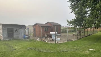Property grounds