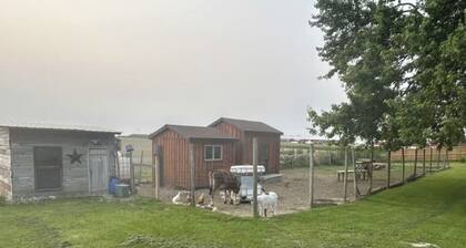 Brown's Rustic Country Bunkie