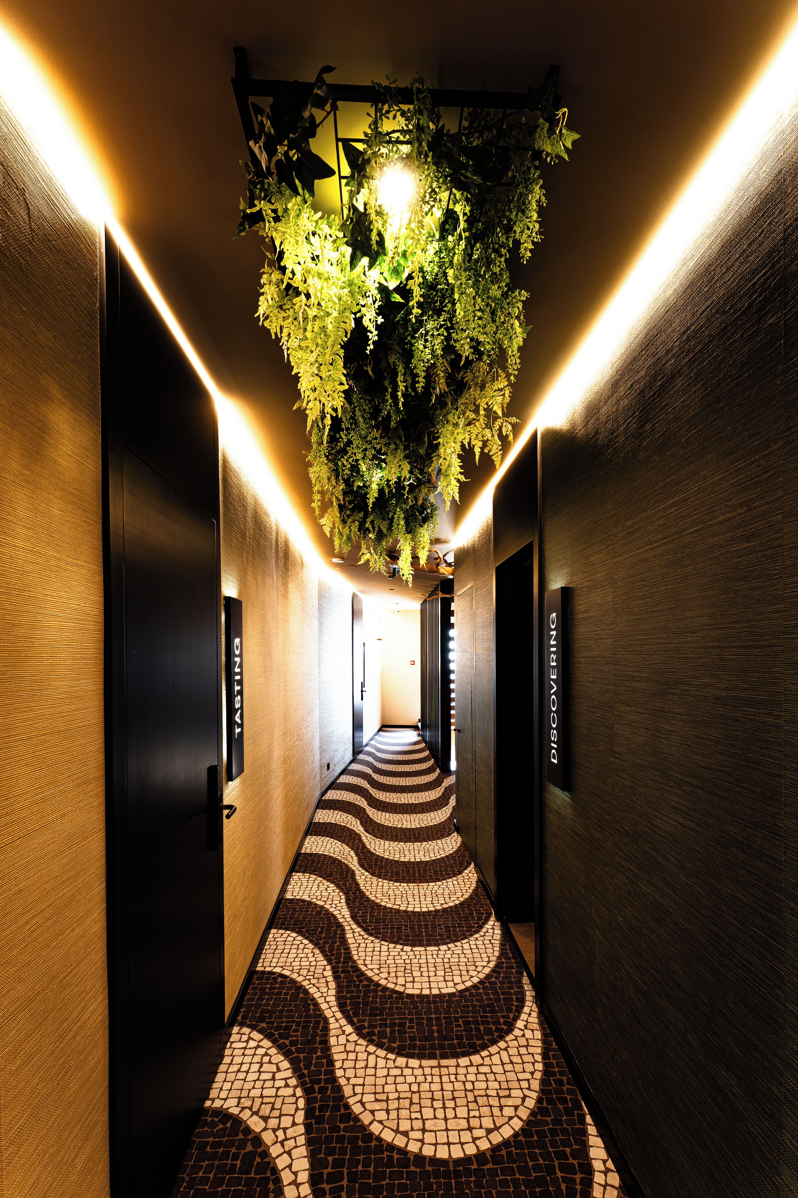 A hallway with a patterned floor, dark walls, and a hanging plant.