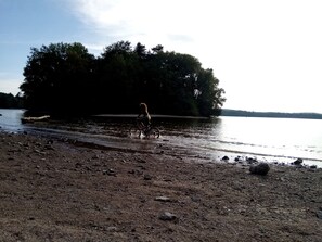 A person riding a bicycle on a rocky shore by a lake with trees in the background.