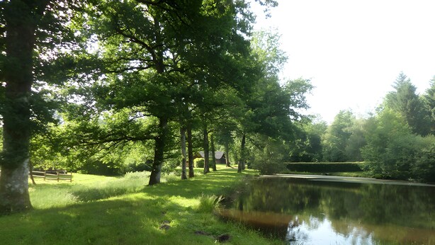 A tranquil pond surrounded by lush greenery and trees. - Chalet by Lac des Settons, Private Garden, Near Hiking & Water Activities (Montsauche-les-Settons)