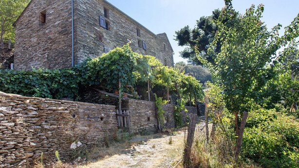 A stone building with a sloped roof, surrounded by greenery and a stone wall.