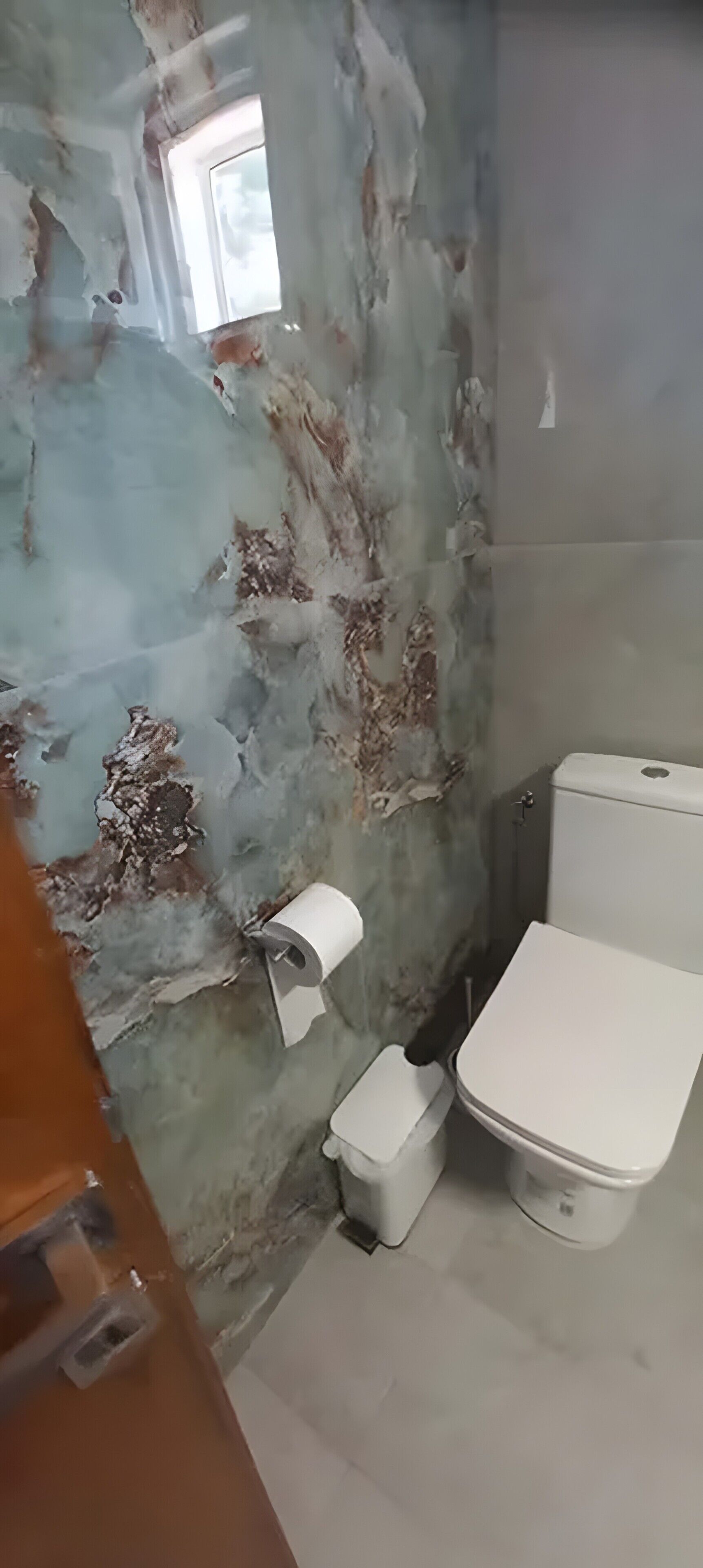 Ein Badezimmer mit Toilette, einem kleinen Mülleimer und einem Papierhandtuchspender.