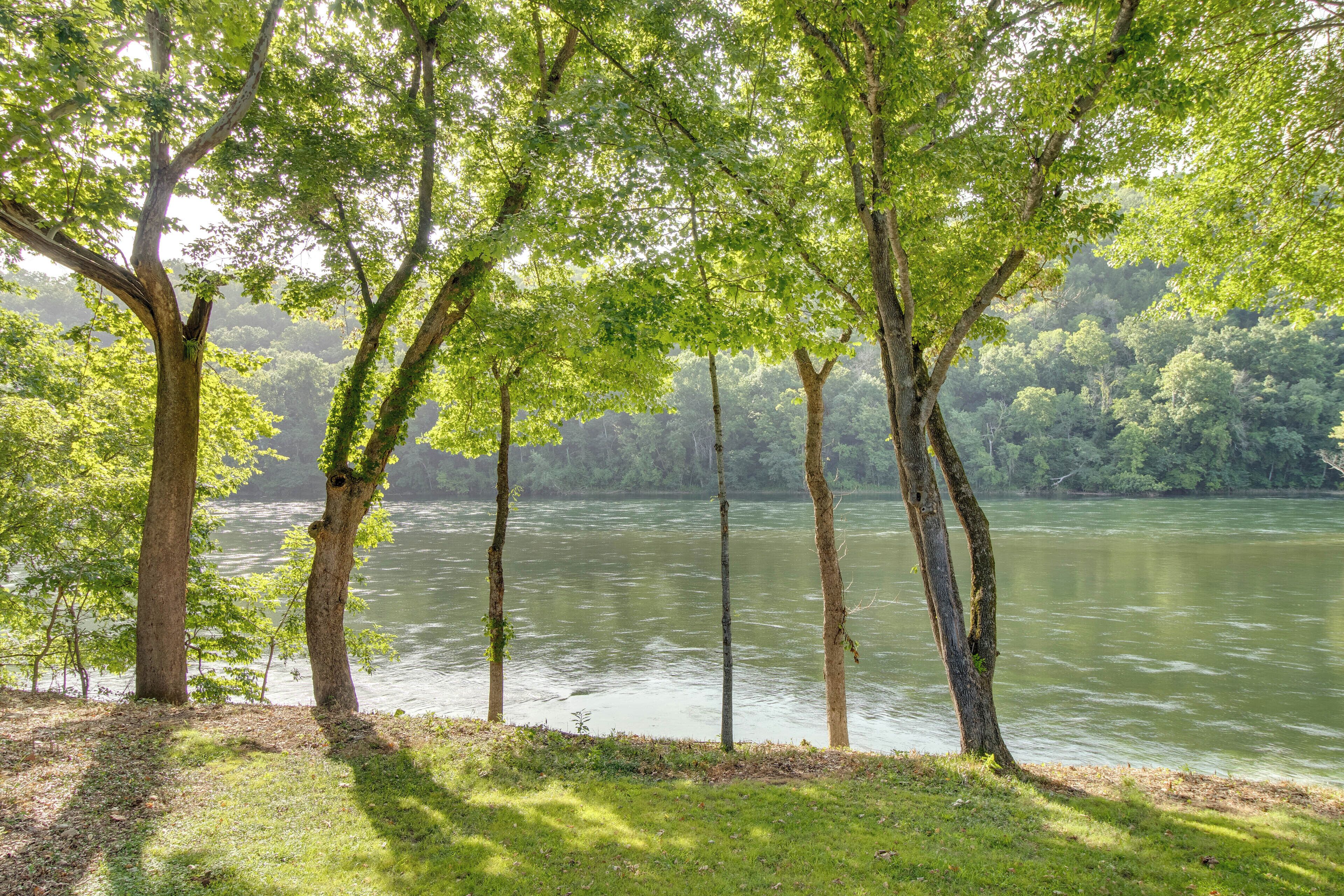Ein Fluss mit Bäumen im Vordergrund und einem bewaldeten Gebiet im Hintergrund.