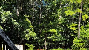 A wooden deck with a grassy yard, surrounded by dense trees. - Spacious 1-bedroom apartment in brilliant Peachtree City (PEACHTREE CITY)