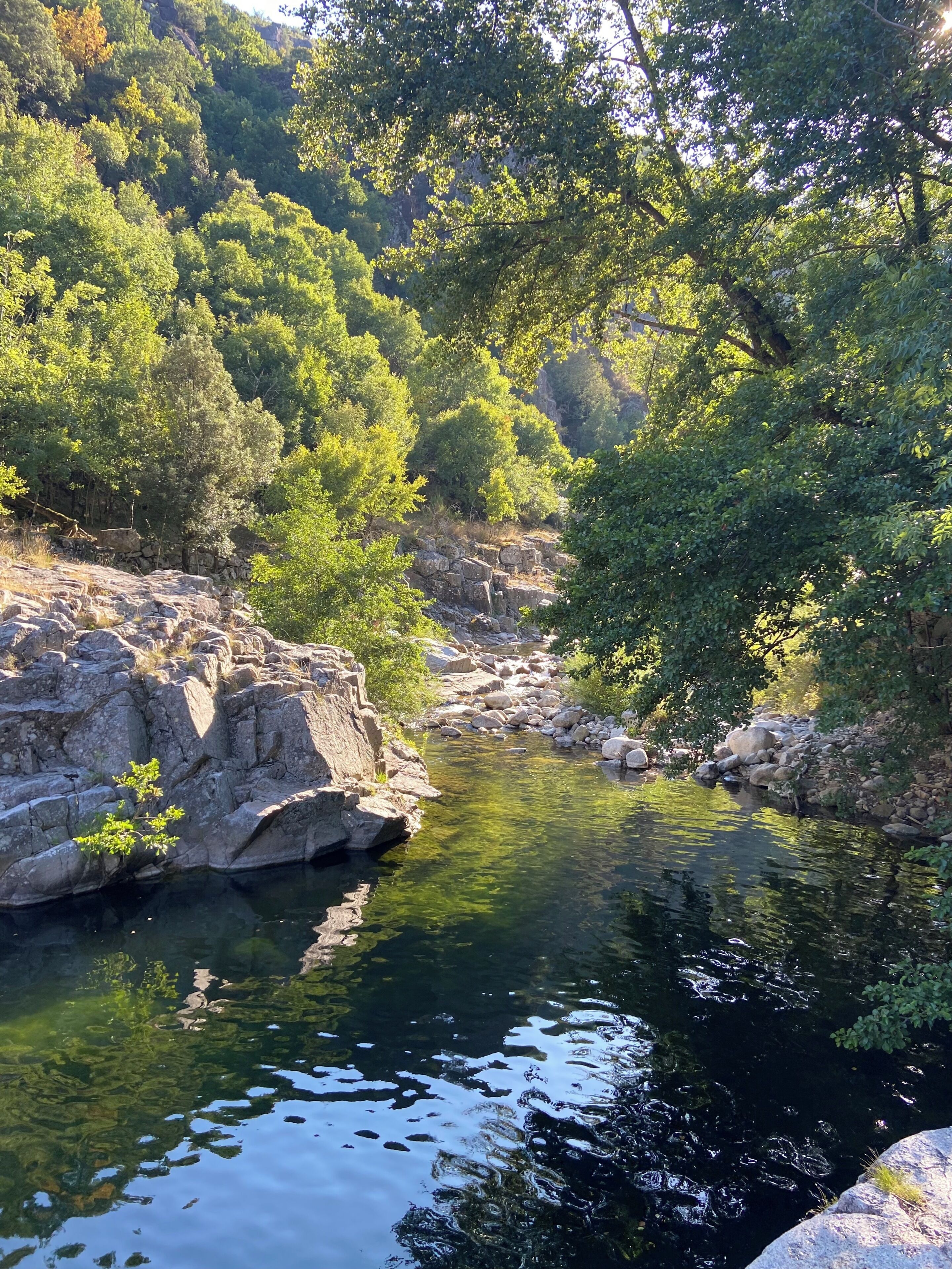 A natural landscape with a clear water body surrounded by rocks and dense greenery.