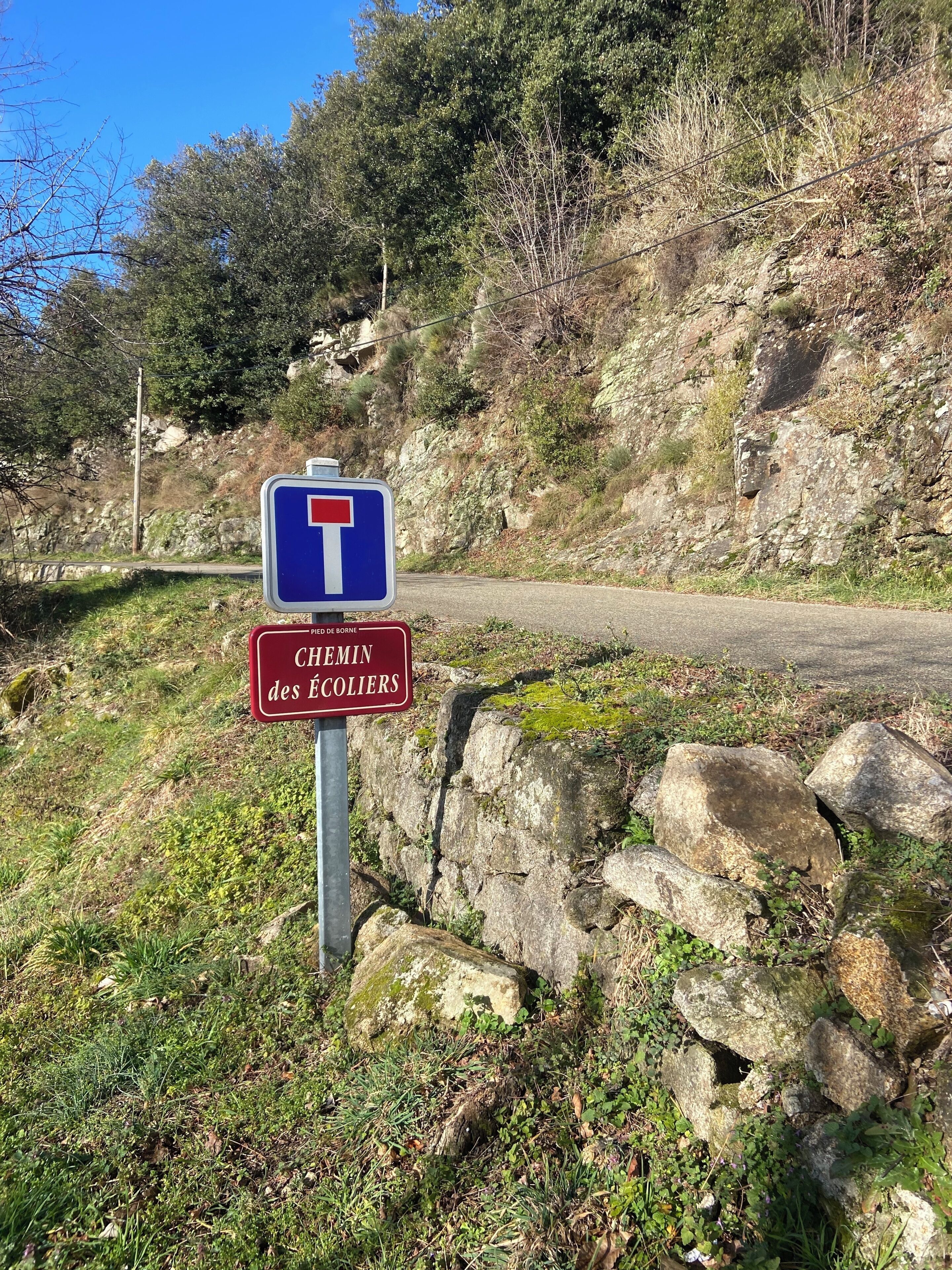 A road sign with a blue background and a white 'T' symbol, indicating a T-junction. Below it, a red sign reads 'CHEMIN des ÉCOLIERS.'