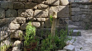 Un muro de piedra con una reja metálica, un pequeño jardín con plantas y una estructura de madera con techo.