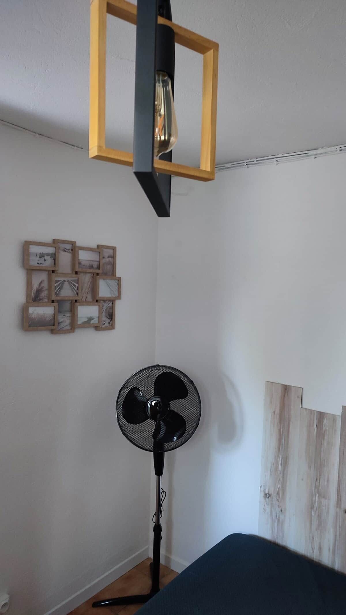 A room with a ceiling light fixture, a standing fan, and a wall-mounted picture frame.