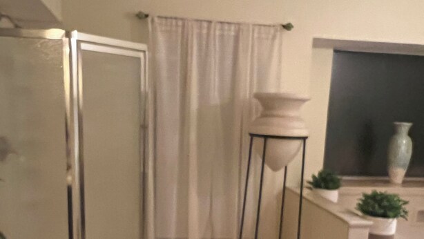 A corner of a room with a glass shower enclosure, a white curtain, a small white pedestal table with a vase, and a potted plant on a counter. - A wonderful modern home… (New Orleans)