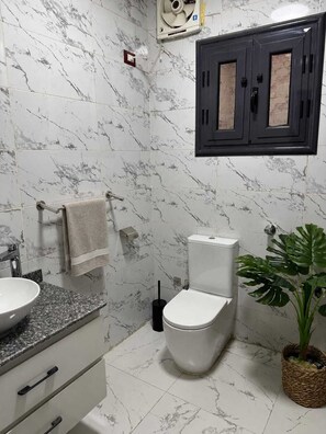 Ein Badezimmer mit Toilette, Waschbecken mit Marmorplatte, Handtuchhalter, Schrank und einer Topfpflanze.