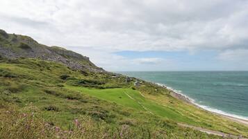 A coastal landscape with a grassy path leading to a beach, overlooking the sea and a rocky cliff.