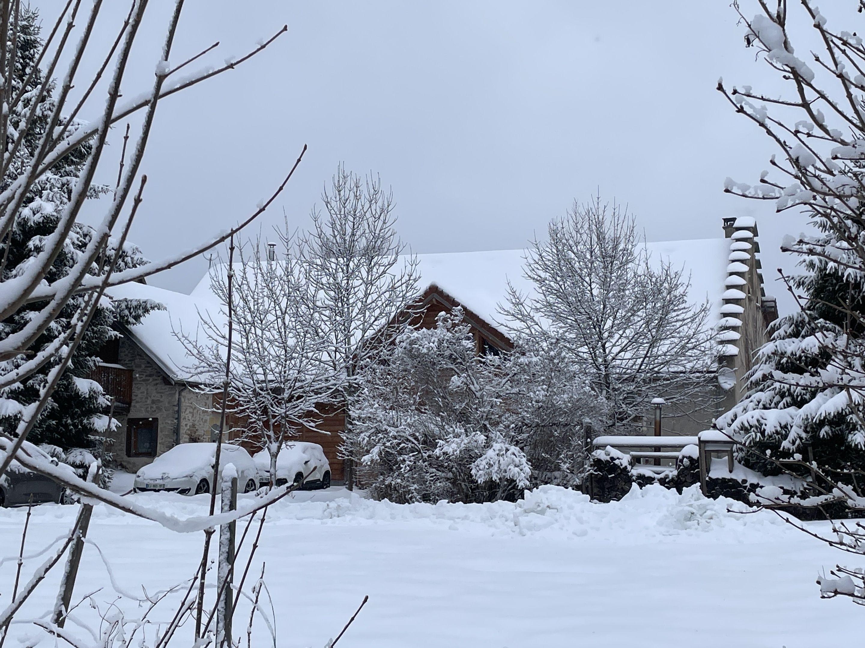 Een besneeerd landschap met een houten chalet, kale bomen en een auto onder de sneeuw.