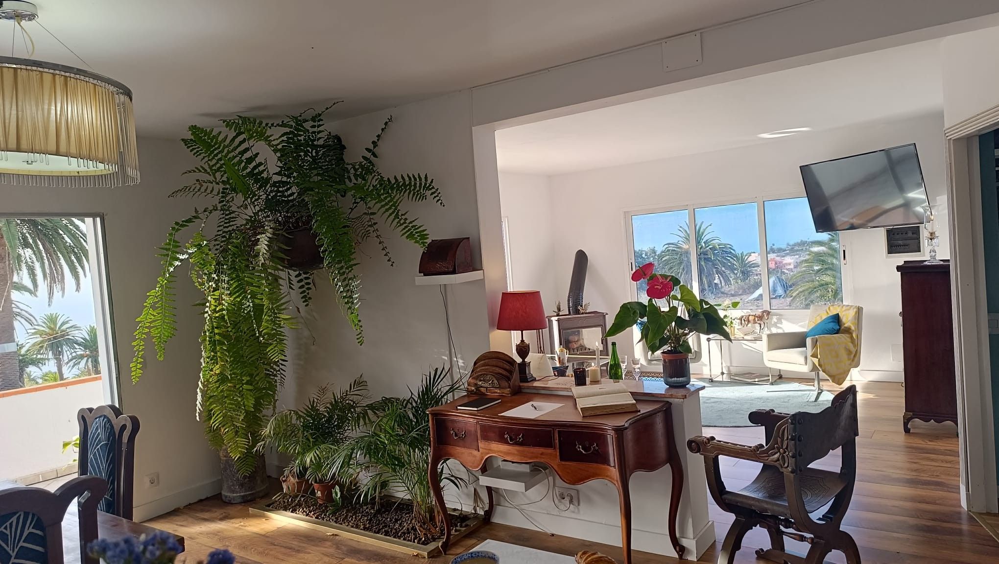 Amplia sala de estar con un ventanal grande, un escritorio de madera y diversas plantas.