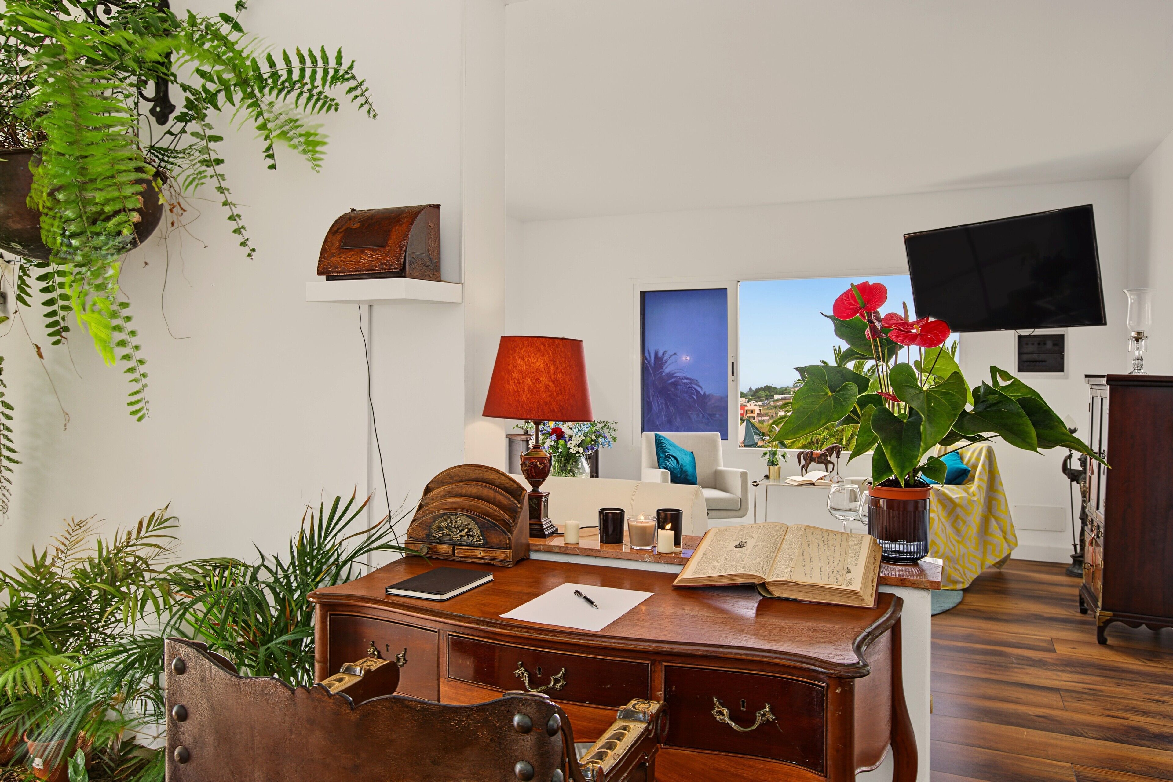 Una habitación con escritorio, libros, lámpara, televisor y varias plantas.