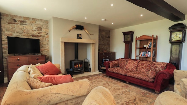 Una sala de estar acogedora con una pared de piedra, una chimenea, un televisor, un sofá y una estantería.
