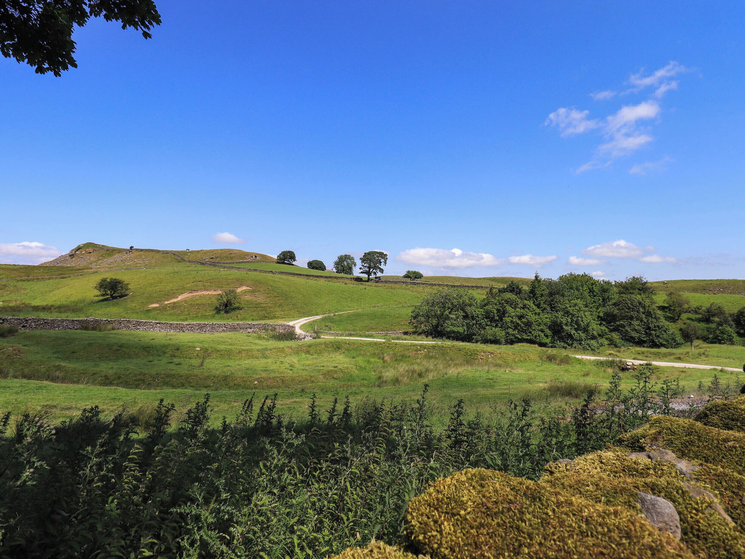 A rural landscape with rolling hills, a stone wall, and a dirt path.