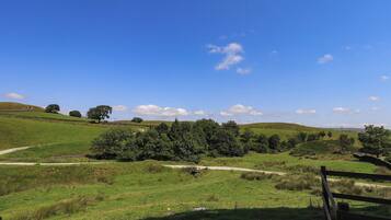 A rural landscape with rolling hills, a winding path, and scattered trees.