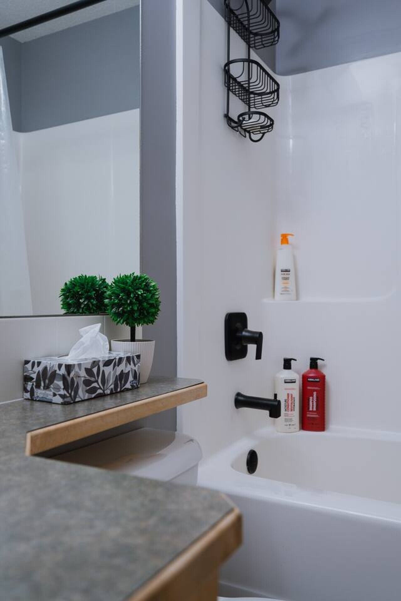 A bathroom with a bathtub, a toilet, a sink, a mirror, a shelf with a tissue box, a potted plant, and toiletries.