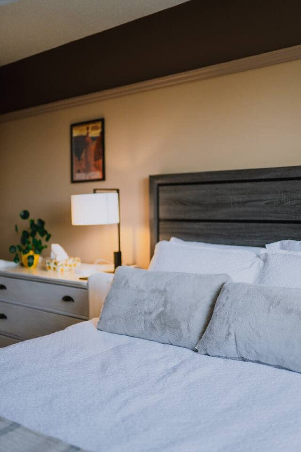 A hotel room with a bed, a nightstand, a lamp, and a wall-mounted picture.