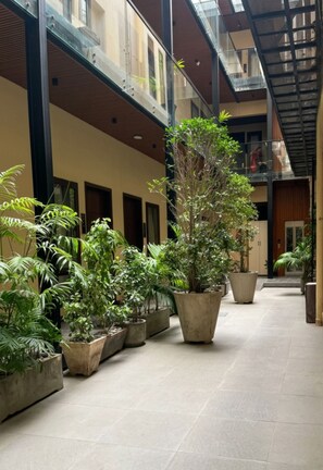Zona interior espaiosa amb nombroses plantes en testos alineades a les parets, un sòl de rajola i un sostre alt amb barana de vidre que domina l'espai.