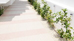 A narrow pathway flanked by white walls and a tree, leading to a building with multiple windows.