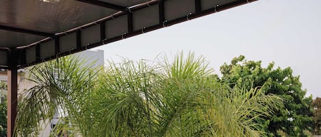 A covered outdoor area with a concrete floor, surrounded by various plants and trees.