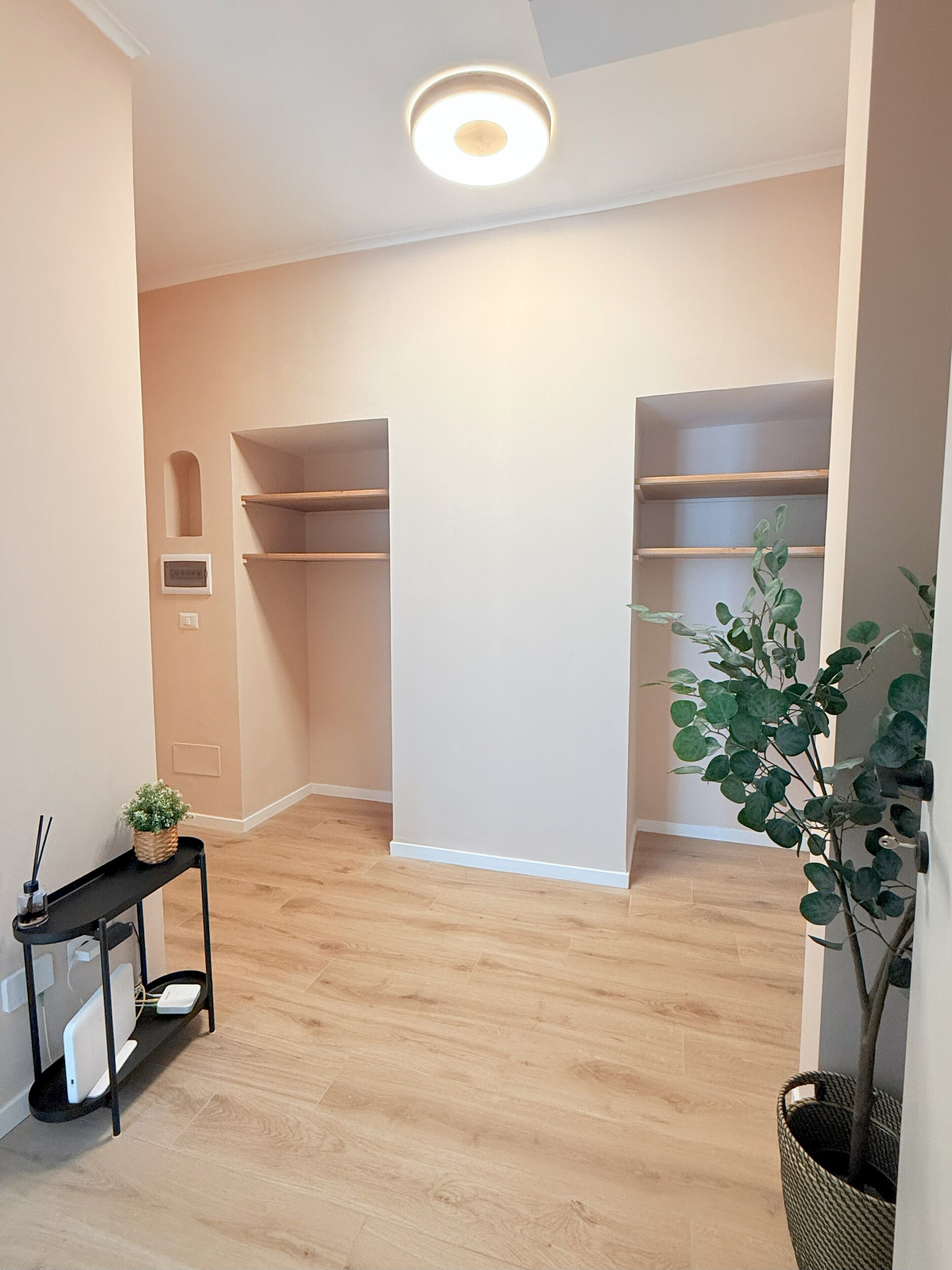 A spacious room with wooden flooring, built-in shelving, a small table with a plant, and a ceiling light fixture.