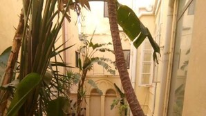 Une petite cour étroite, dallée, entourée de plantes en pot et d’un palmier.