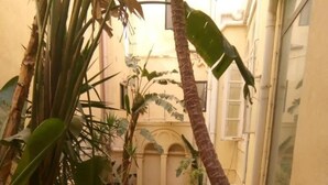 Une cour étroite, dotée d’un sol carrelé, entourée de plantes en pot et d’un palmier.