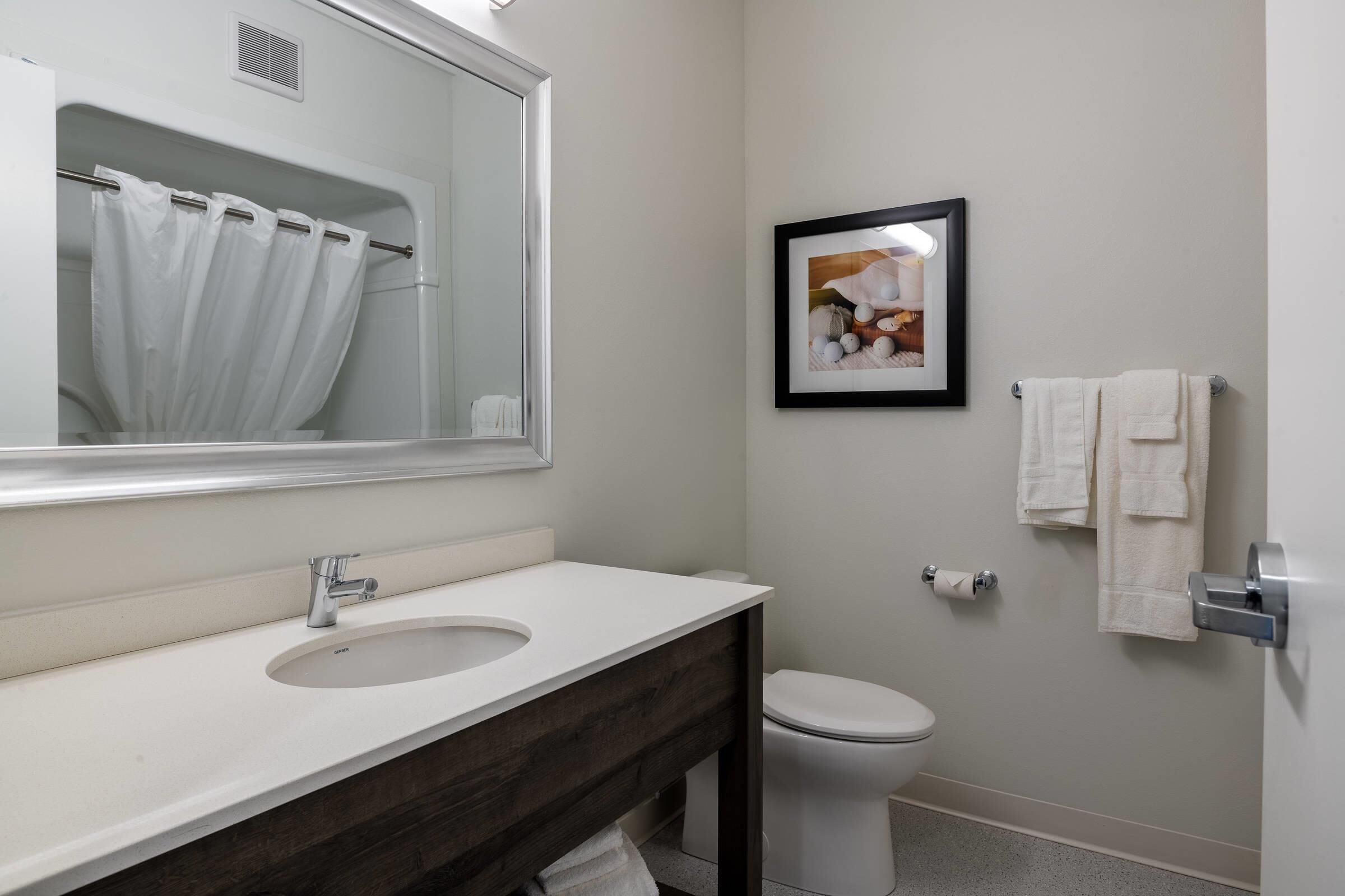 Een badkamer met een witte wastafel, een spiegel, een toilet en een lijst met een afbeelding aan de muur.