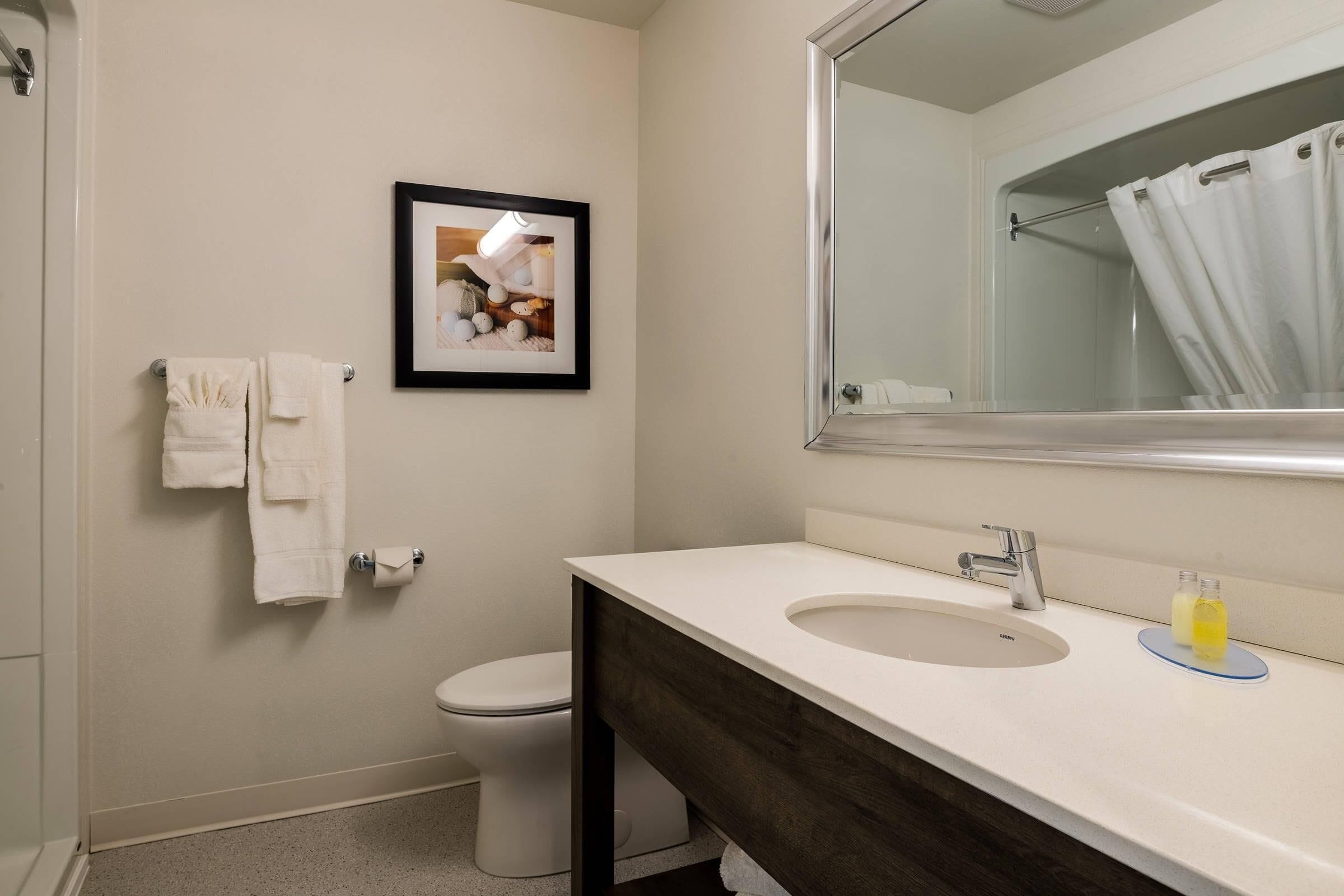 A bathroom with a white toilet, a sink with a dark countertop, a framed picture on the wall, and a mirror above the sink.
