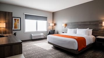 Room, 1 King Bed, Accessible, Non Smoking