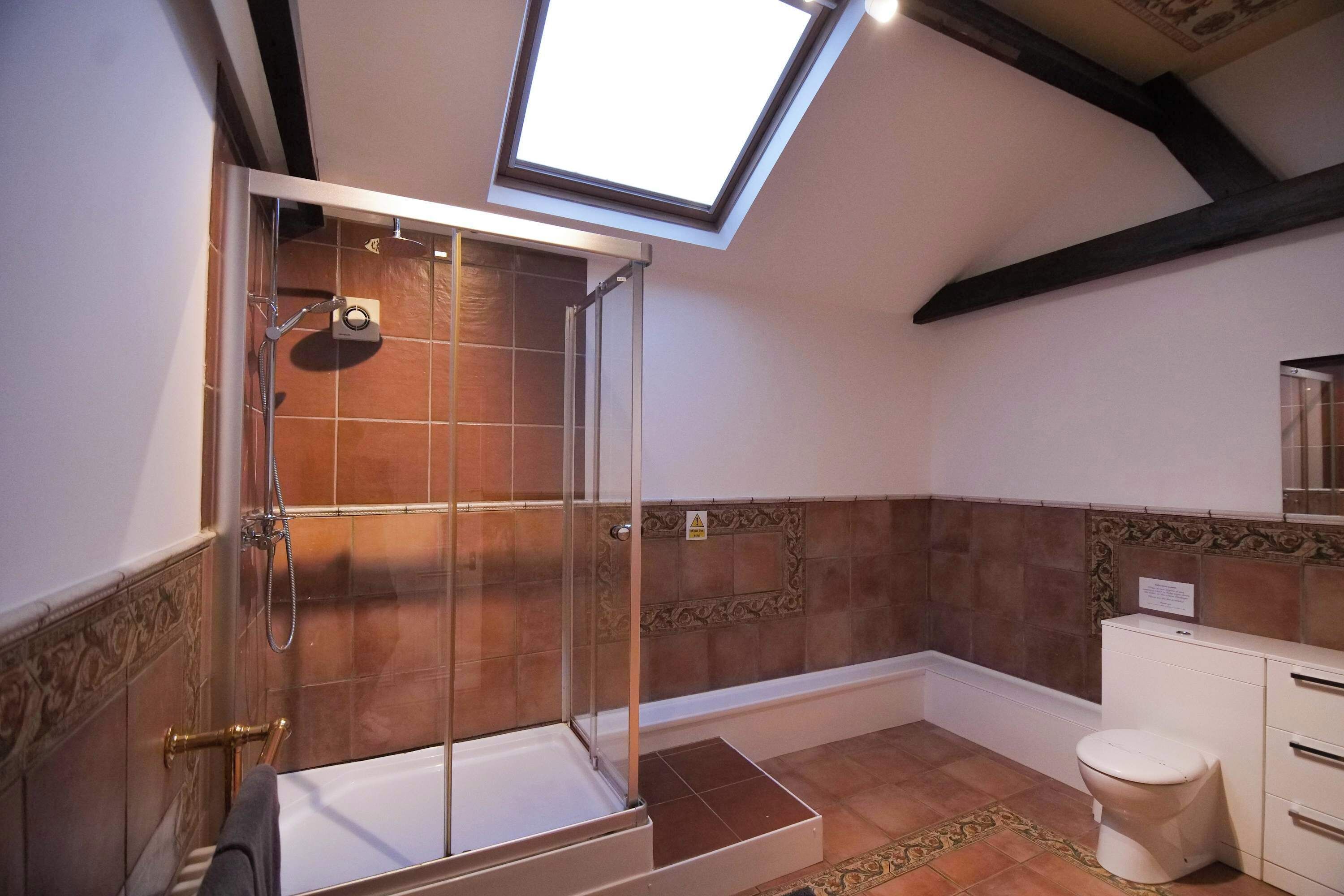 A shower with a glass door, a bathtub, a toilet, and a skylight.