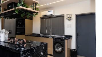 A modern kitchen with a built-in washer, a sink, and a stove.