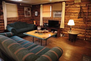 TV, fireplace - The Skyline Cabin - Mountaintop Ranch (Elkton)