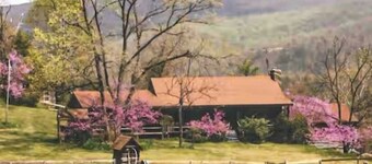 The Homestead Cabin at Mountaintop Ranch