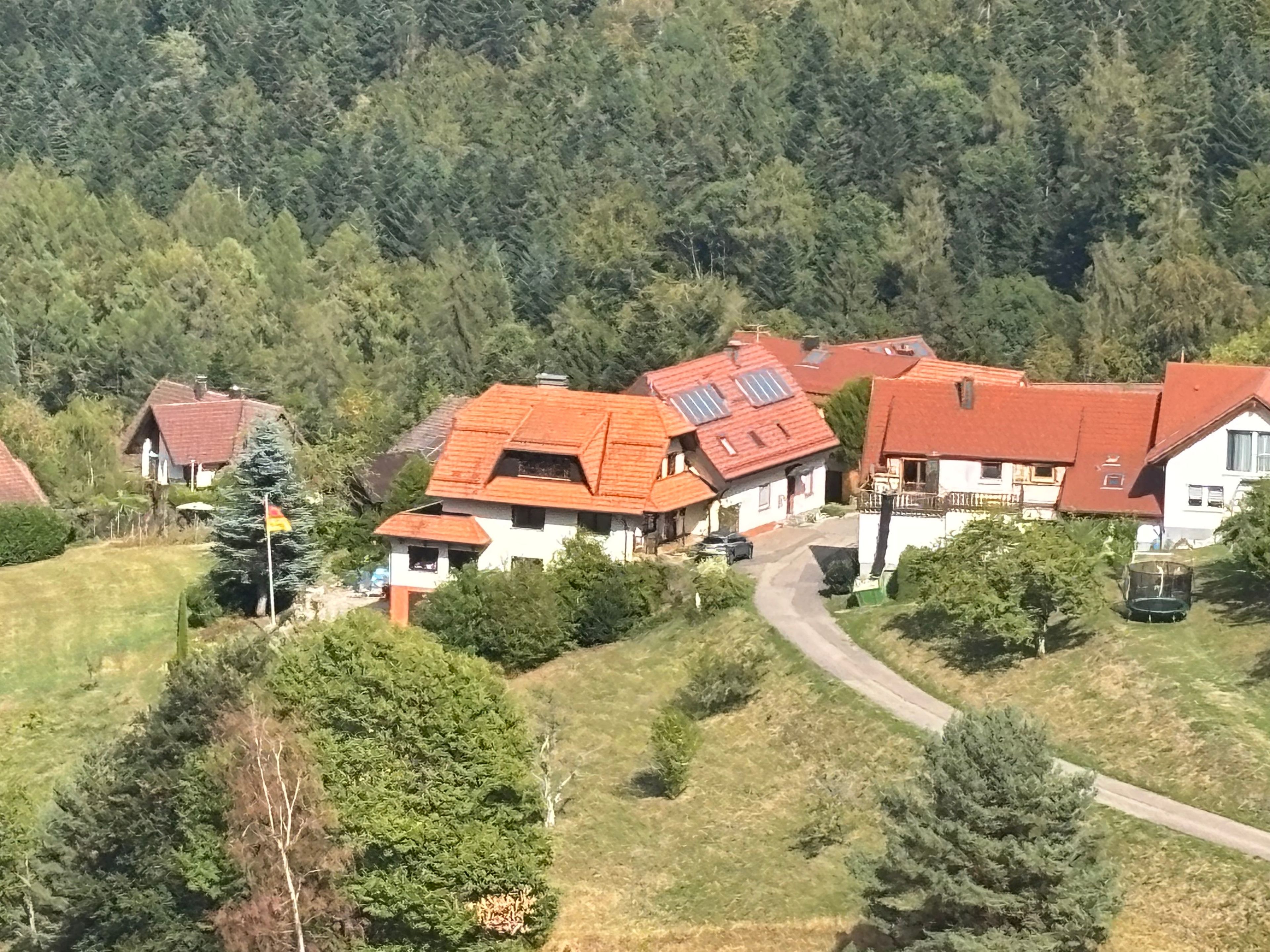 A residential area with houses, a winding road, and dense forest in the background.