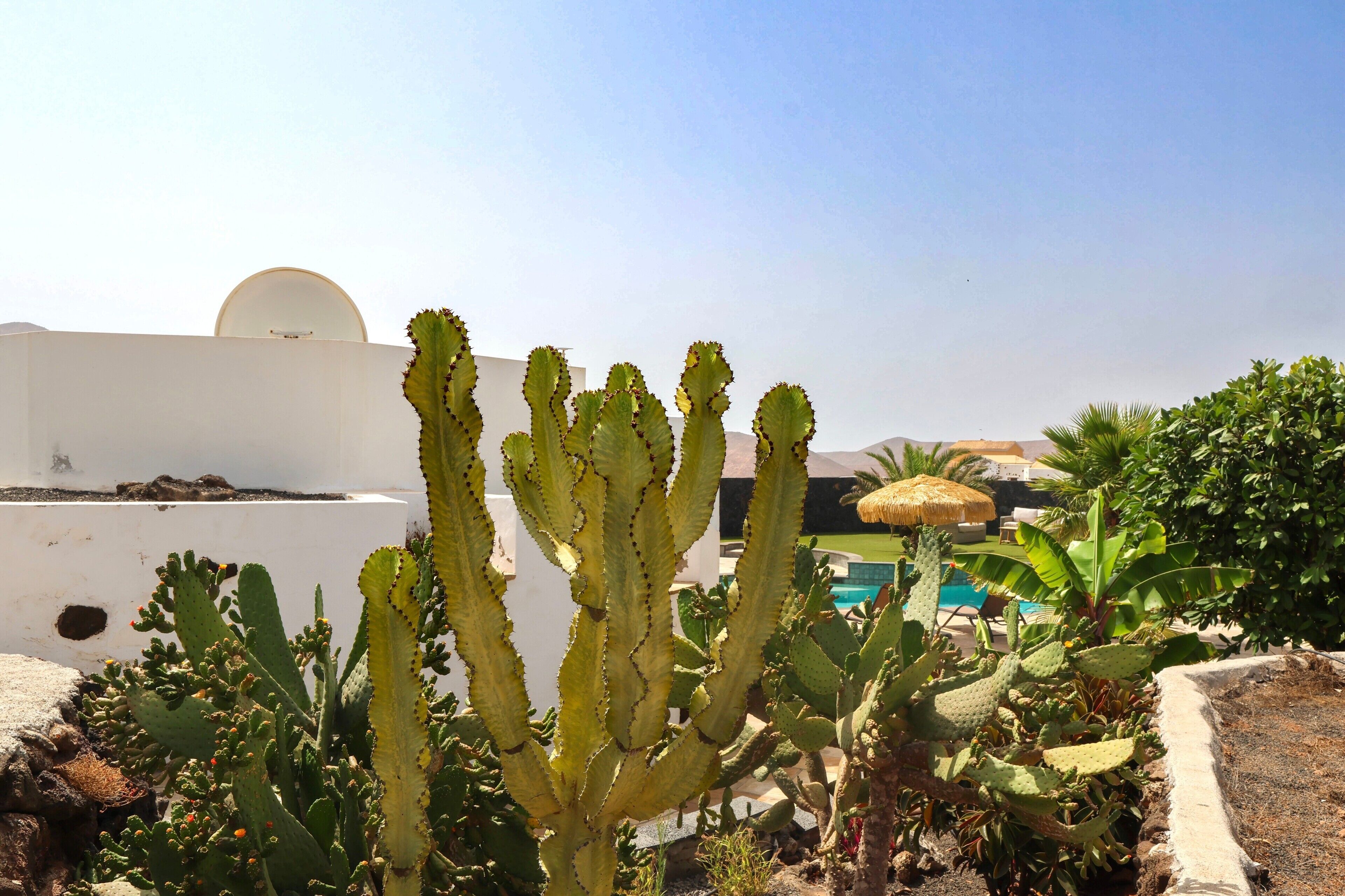 Jardines del alojamiento