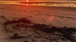 Ein Strand mit untergehender Sonne am Horizont, die sich im Wasser spiegelt.