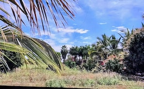 Vista desde la propiedad